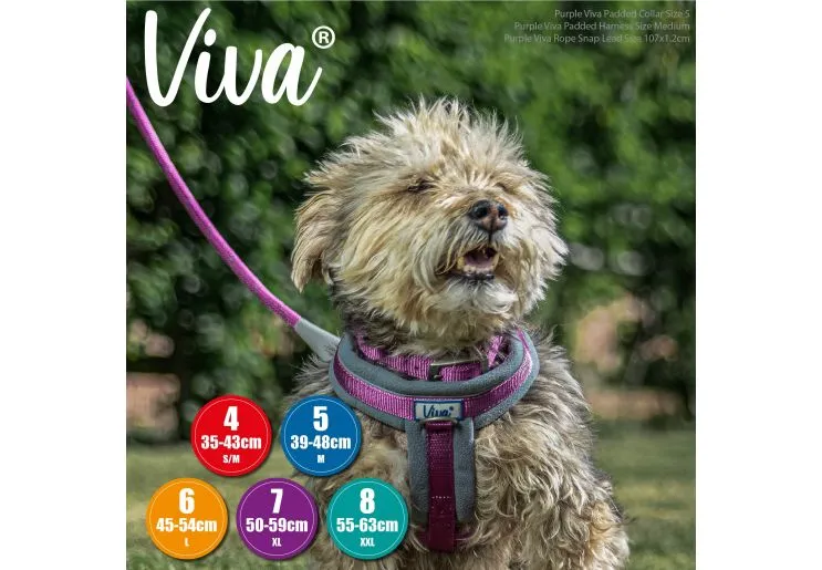 Ancol - Viva Nylon Padded Buckle Collar - Black - Size 6 (45-54cm)